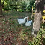 La Valle Fiorita Guest house 3*