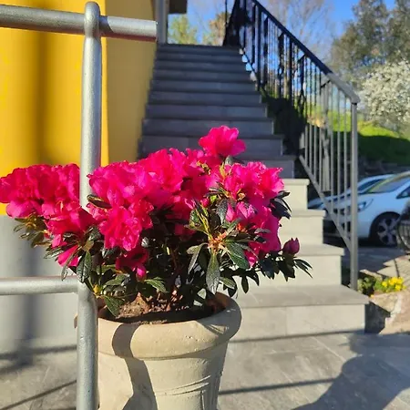 Guest house La Valle Fiorita *