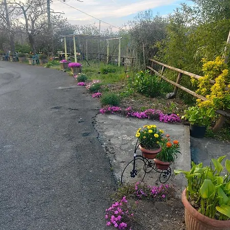 La Valle Fiorita בית הארחה