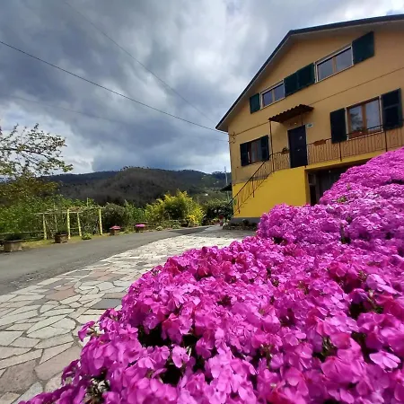 La Valle Fiorita Guest house *