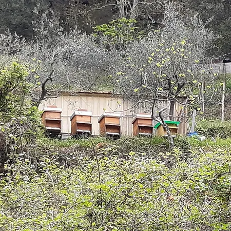 La Valle Fiorita 게스트하우스 *