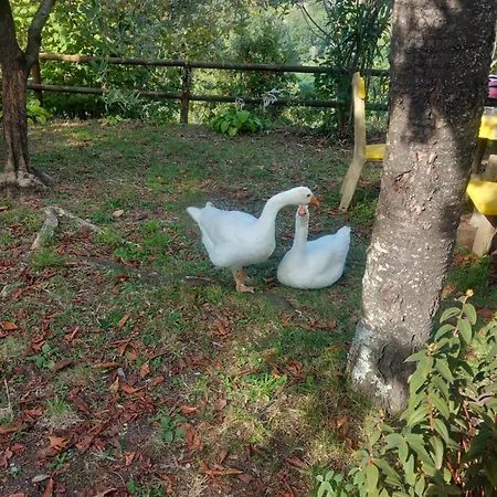 La Valle Fiorita 게스트하우스 *