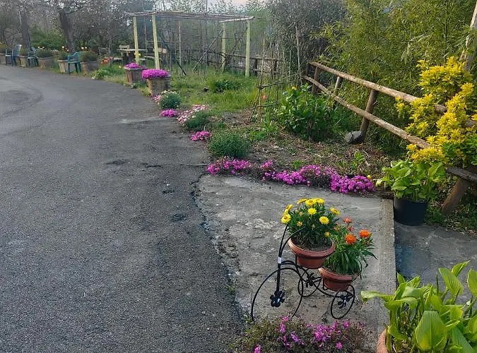 La Valle Fiorita Gæstehus