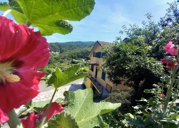Gæstehus La Valle Fiorita Soviore